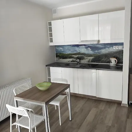 Private Baltic Cliff Obok Latarni Morskiej * 니에초르체